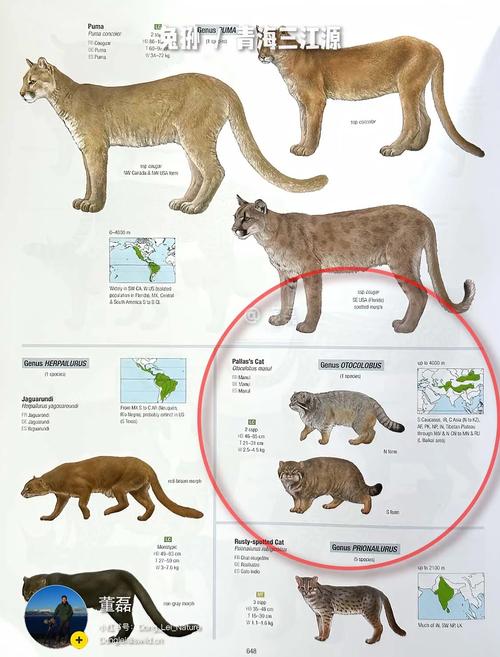 小野猫N上最新内容:第一时间掌握