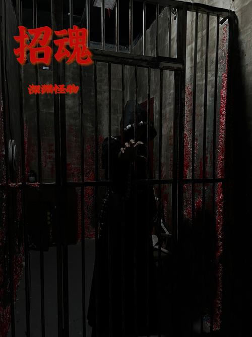 如何找到暗所恐怖症官网？一招教你辨别真伪不迷路！