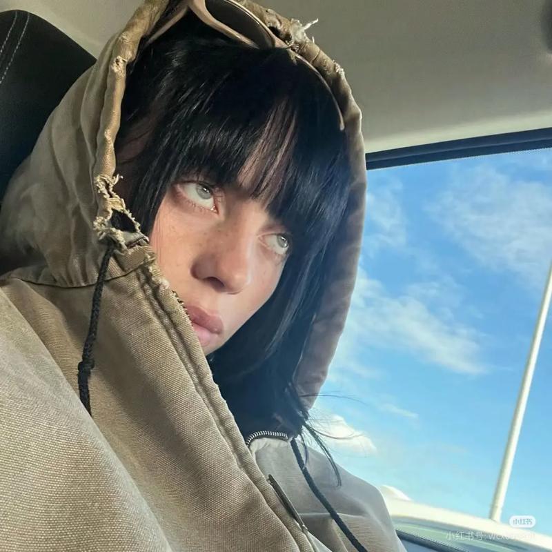 克里斯汀沃森下载地址及安装方法详解：玩游戏必备