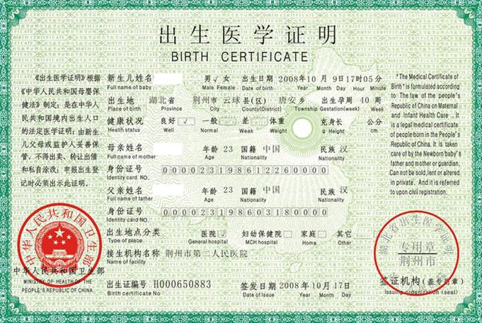 出生证明游戏下载：PC+安卓版，汉化版资源，轻松畅玩！