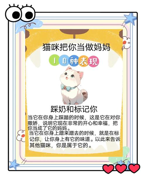 教你轻松下载当你的猫咪,告别下载难题