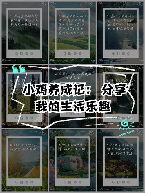 解锁房东养成记绅士游戏隐藏剧情，乐趣无穷