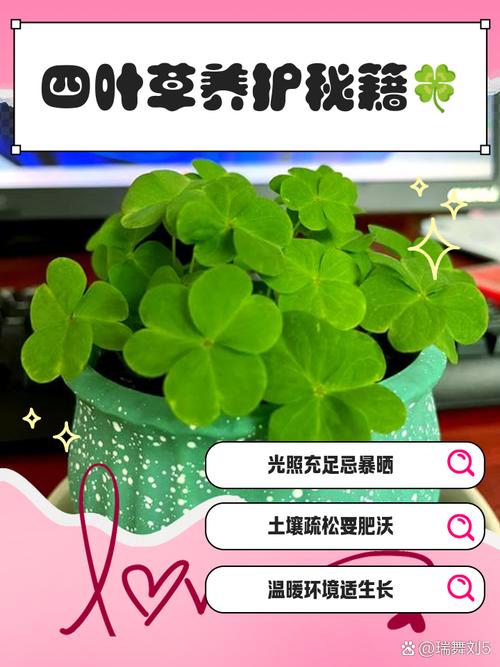 夏色四叶草最新版本攻略：新手入门及玩法技巧全解析！