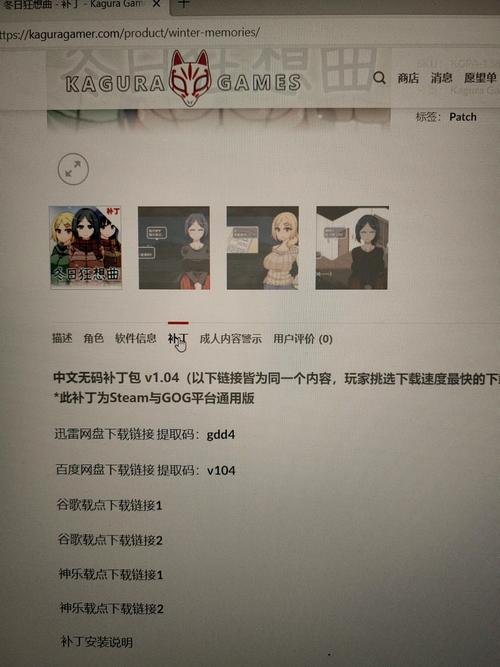 夏日狂想曲游戏攻略:六大支线任务详解及完美结局达成