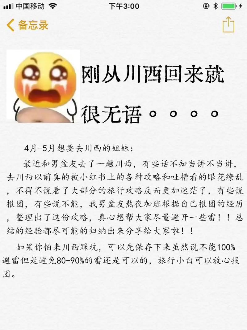 想玩VAM纯净中文版?这份攻略帮你轻松入门