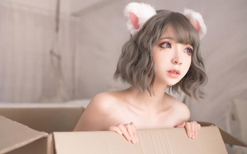 疯猫最新版本是多少?下载地址及版本更新详解