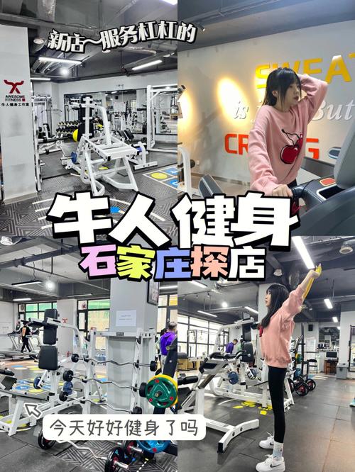 史上最全禁欲健身中心版本大全，助你成为健身达人