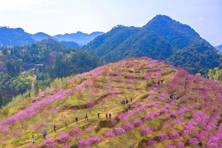 桃花境游戏官网下载-快速下载,开启奇妙仙境之旅