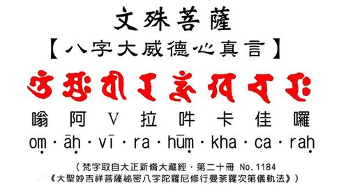 全能的咒语汉化版更新了啥?最新内容详解!