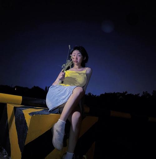 乡村韵事安卓版下载:无知少女的纯真与冒险之旅