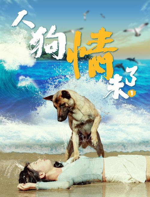 人狗情未了官网:口碑评价与精彩影评分享