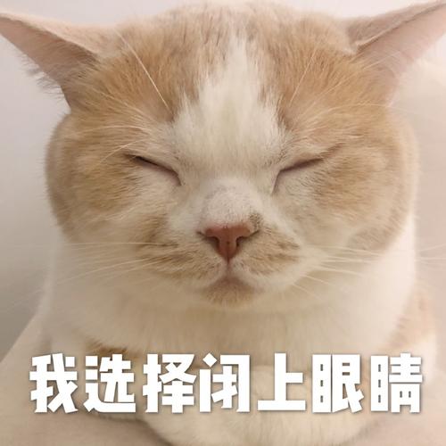 闭着眼睛版本大全:学习与欣赏的最佳选择