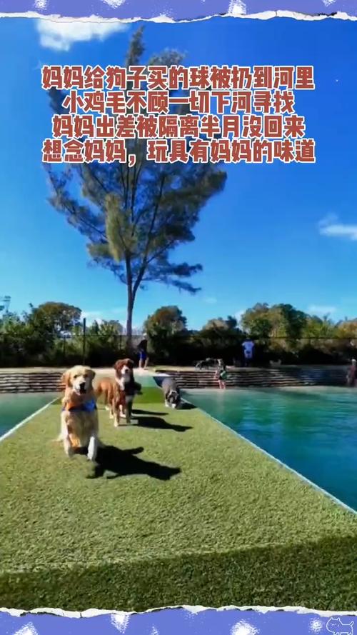 与妈妈一起隔离最新版本是多少？下载地址及游戏介绍