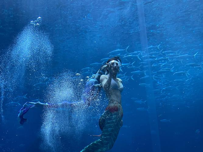 美人鱼之迷安卓下载安装:和美人鱼一起探索海底世界!