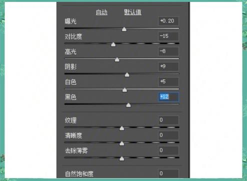 妖姬猎人汉化版下载教程：小白也能轻松上手的游戏下载