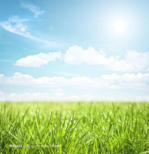 想玩青青草原？教你快速下载安装的方法