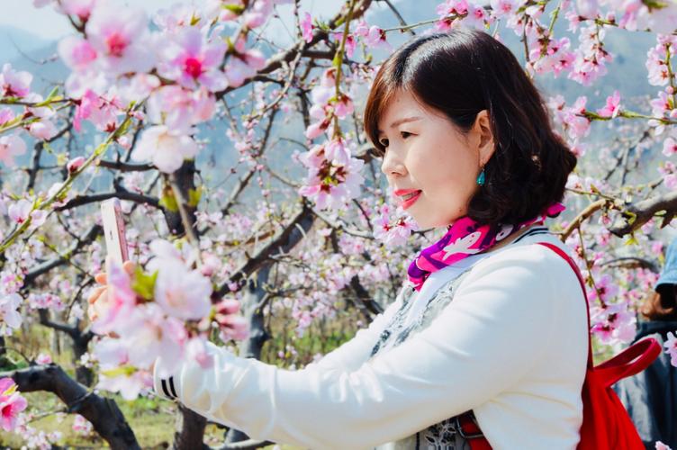 桃花境游戏官网下载-快速下载,开启奇妙仙境之旅