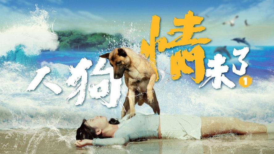 人狗情未了官网:口碑评价与精彩影评分享