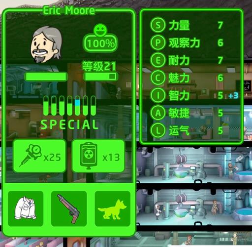 辐射避难所H版最新版本下载地址及游戏玩法介绍