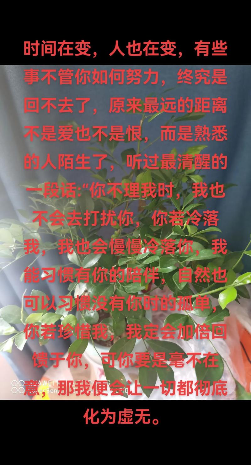 还在找孤独的陌生人更新地址？这里有高清资源！