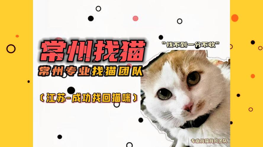 寻找疯猫版本大全？这里有你想要的！