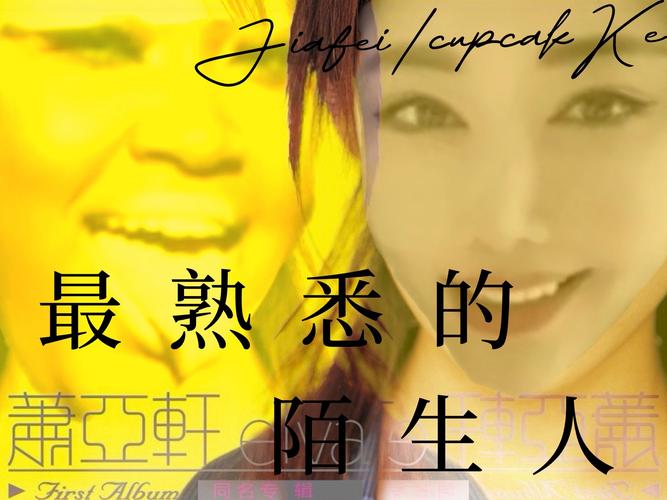 孤独的陌生人最新版本是多少?快速查看方法一步到位