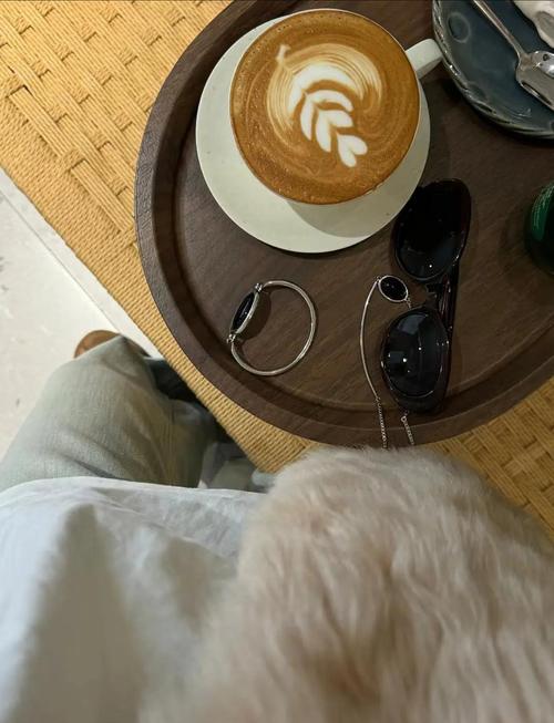 妻管严游戏攻略大全：教你如何成为好丈夫