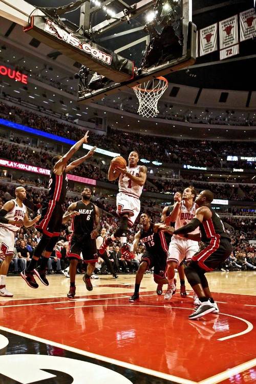 罗斯的生存最新哪里下载？官方渠道安全又快速！