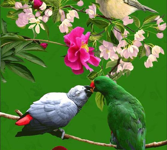 优艳之花下载地址如何下载?新手必看的一步一步攻略!