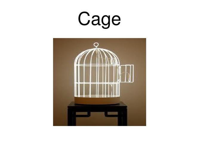 CageofTentacles最新版本值得买吗？(性价比实测对比分析)