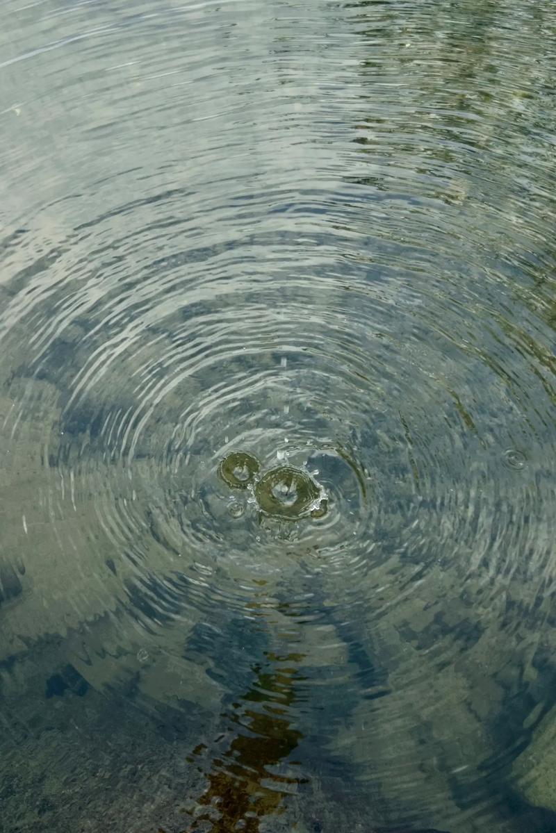 还在找?涟漪官方正式版最新版下载,这有靠谱资源!