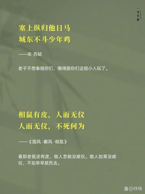 厚颜无耻的十四行诗汉化版下载效果如何?三步检验翻译质量好坏