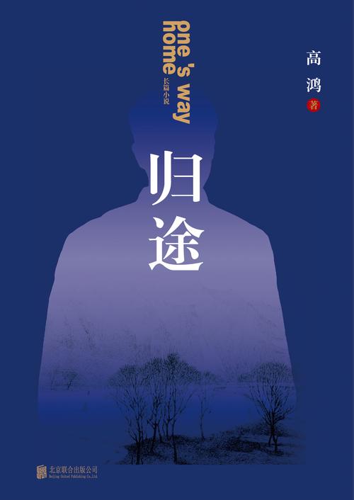 别样归途!归巢最新路线,助力游子顺利返乡