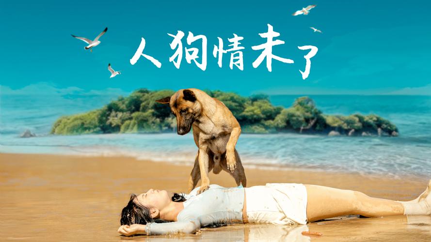 人狗情未了版本大全完整版下载?三步搞定资源免费拿!