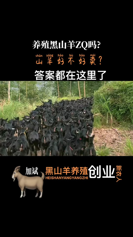 黑山羊之夜官网是哪个?认准这个官方入口不会错!