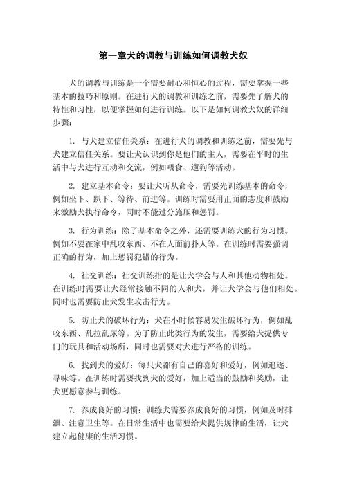 奴隶训练最新经验心得?老司机分享技巧提升效率!