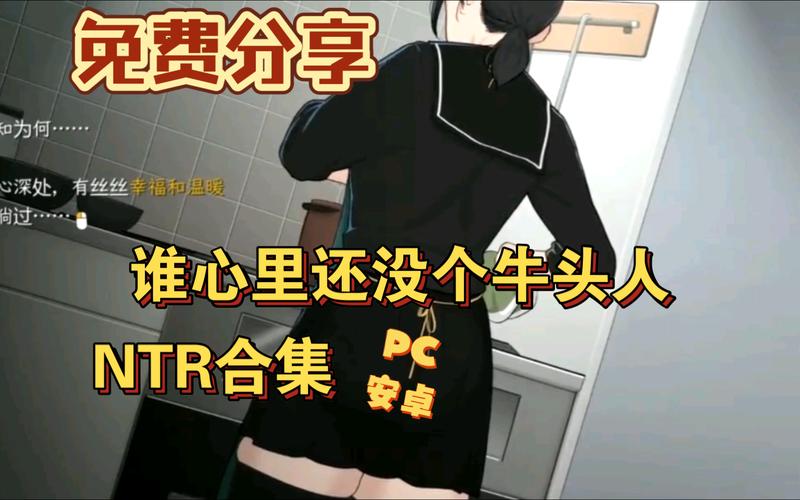 NTRman合集汉化版下载注意事项:避免风险的行家建议!