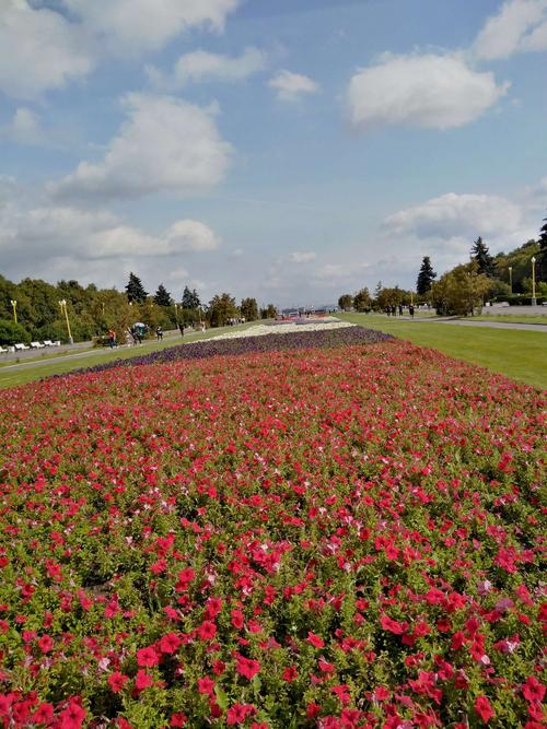 优艳之花更新地址在哪?(推荐可靠平台地址!)