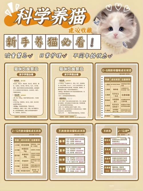 猫研社官方网站怎么进？记住这个地址不迷路！