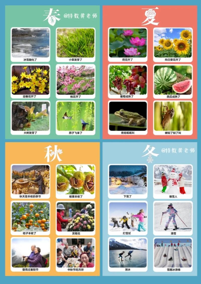 四季下载地址免费吗？(最新正版获取方式在此)