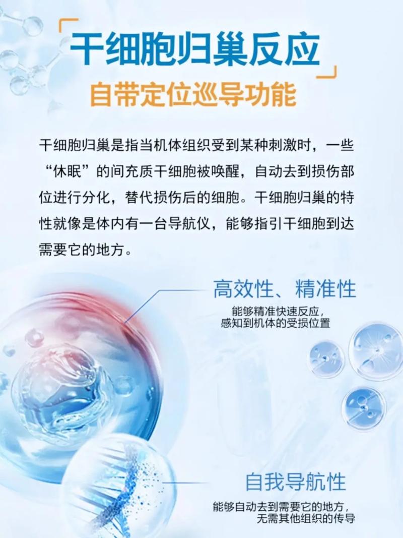 归巢版本大全优势分析？(用户推荐使用心得)