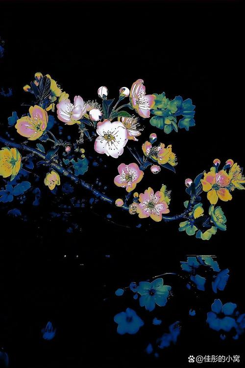 哪个夜幕之花版本最好玩?五个技巧帮你挑对合适版本