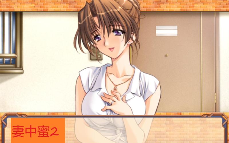 妻中密版本大全有哪些？(5个热门版本详细解析)