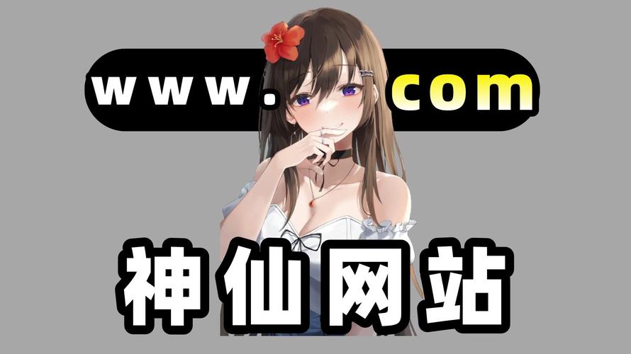 午夜撒娇官方网站使用方法教程?新手必备三步上手!