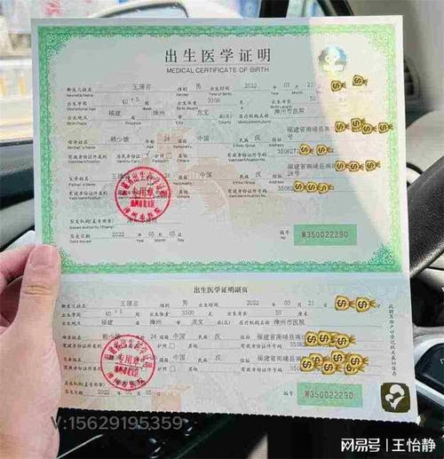 出生证明版本大有什么用?(实用价值帮你避坑省钱)